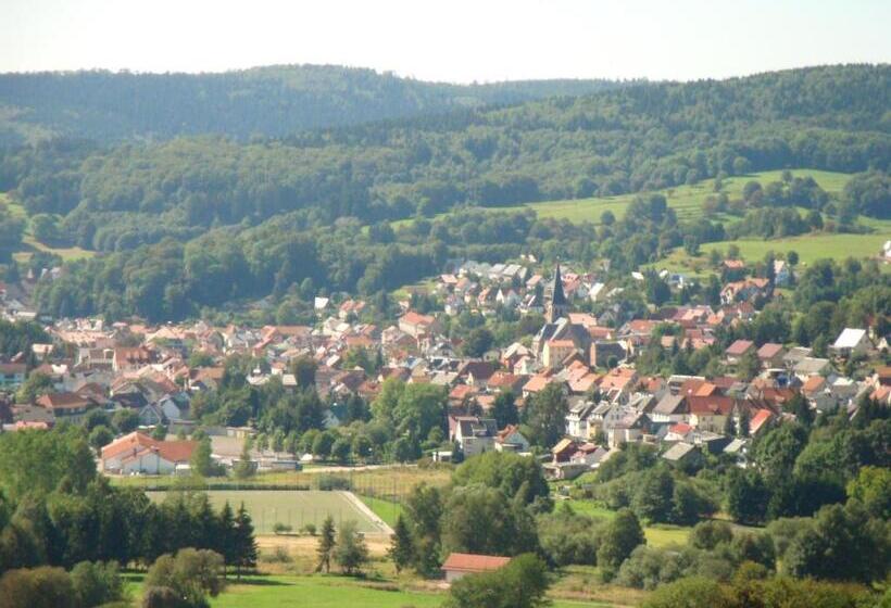 호텔 Zur Guten Quelle