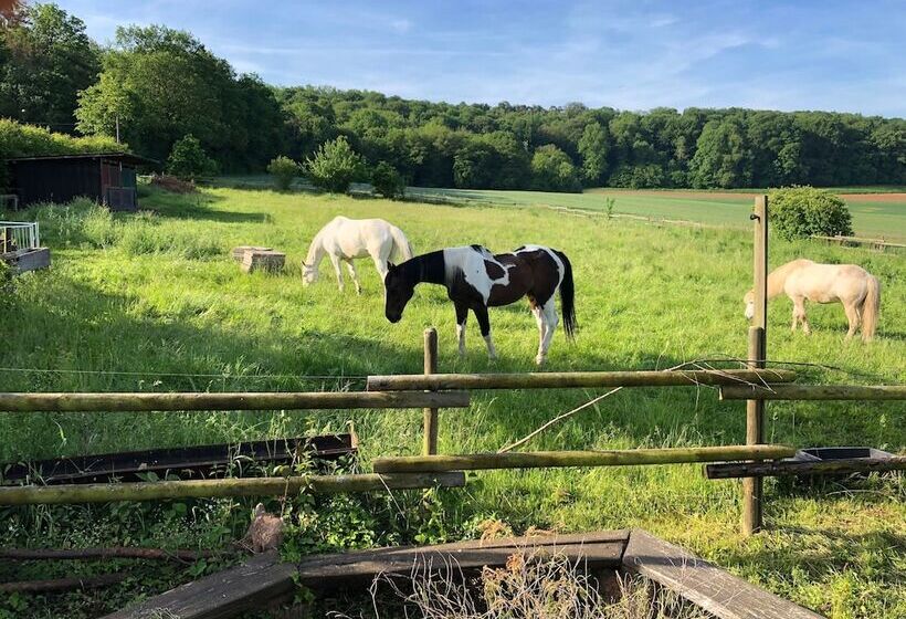 Landhaus Vor Burg Eltz