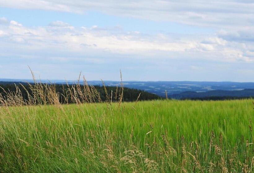 Landhotel Plauen   Gasthof Zwoschwitz