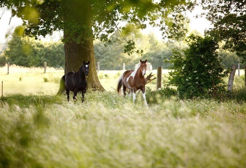 Landhotel Zum Pottkuchen