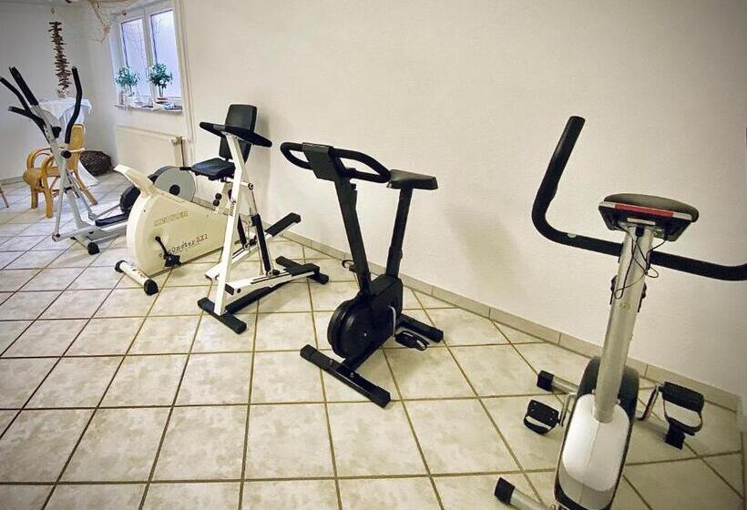 Meister Bär Hotel Wettiner Hof