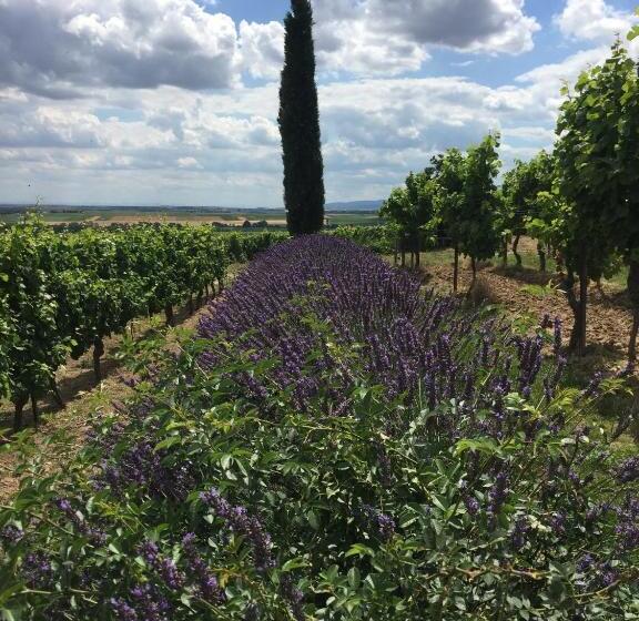 膳宿费 Gästehaus Hochmann Stadecken