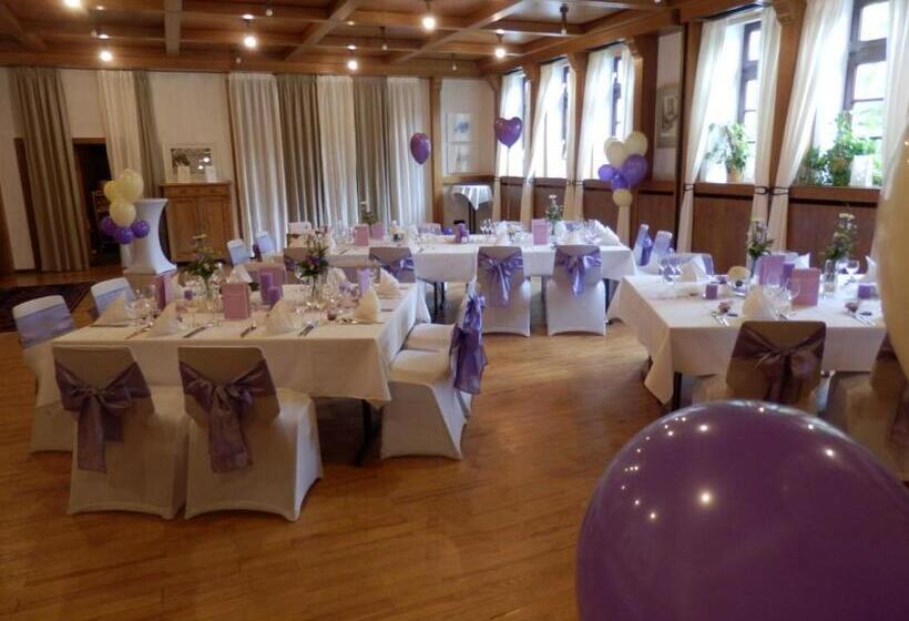 بنسيون Landgasthof & Hotel Zum Schwan Gmbh