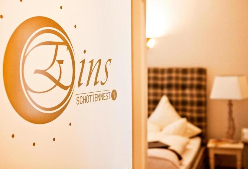 Schottennester Schlafen An Der Krämerbrücke