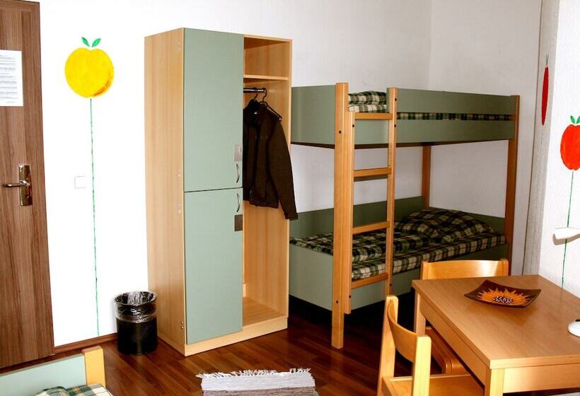 Sleepy Lion Hostel & Apartments Leipzig