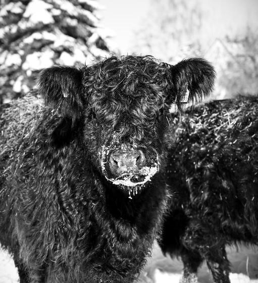 Sommers Hotel Altes Posteck