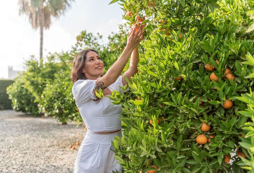 Cap St Georges Hotel & Resort