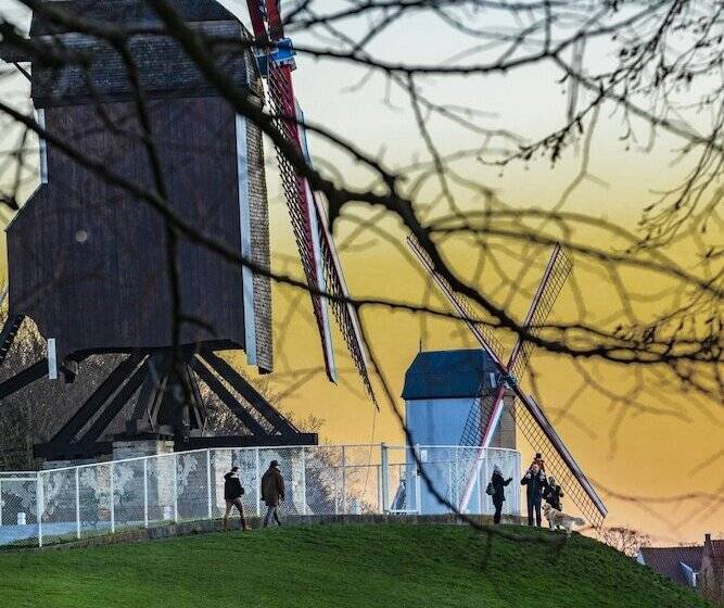 צימר B Guest Sleep & Retreat