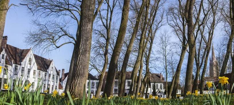 צימר B Guest Sleep & Retreat