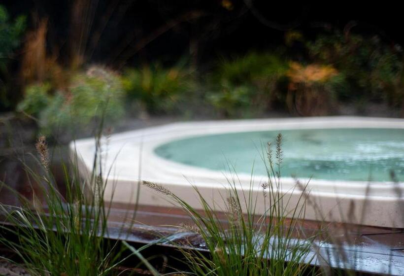 צימר B Guest Sleep & Retreat