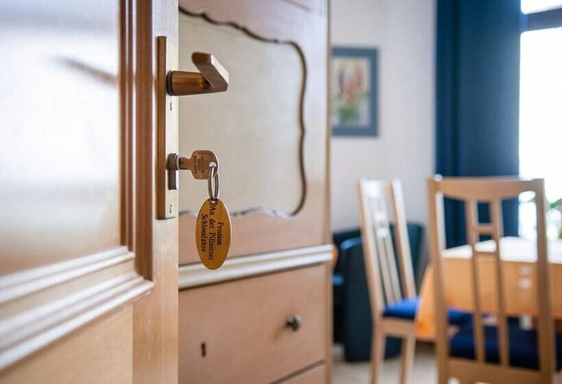 민박 Pension An Der Pillnitzer Schlossfähre