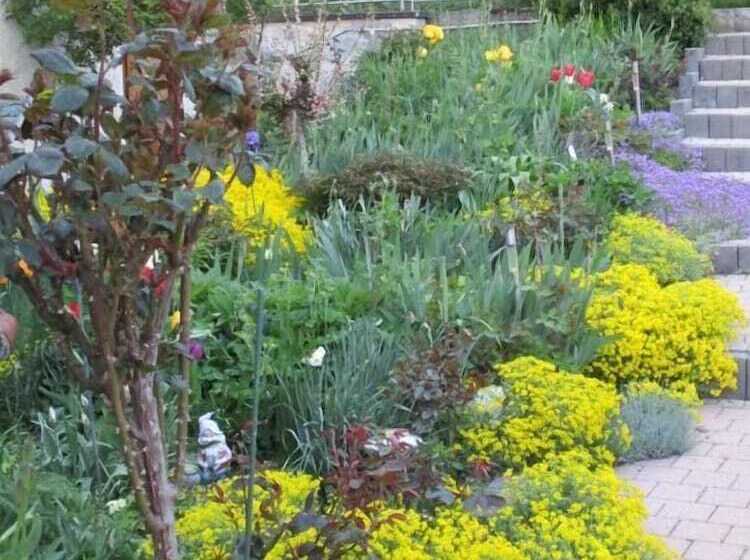 住宿加早餐  Kühns Mühle