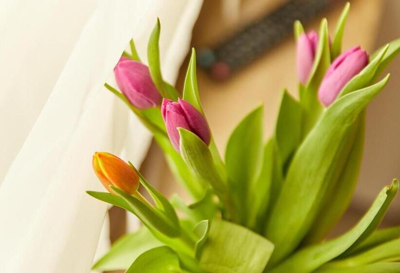 ベッドアンドブレックファースト Zum Dicken Baum