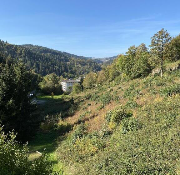 هتل Schwarzwaldblick