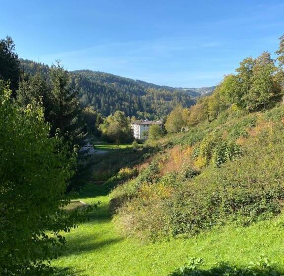 هتل Schwarzwaldblick