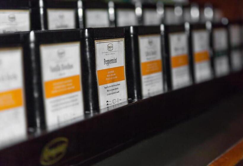 בית מלון כפרי Aviv Dresden