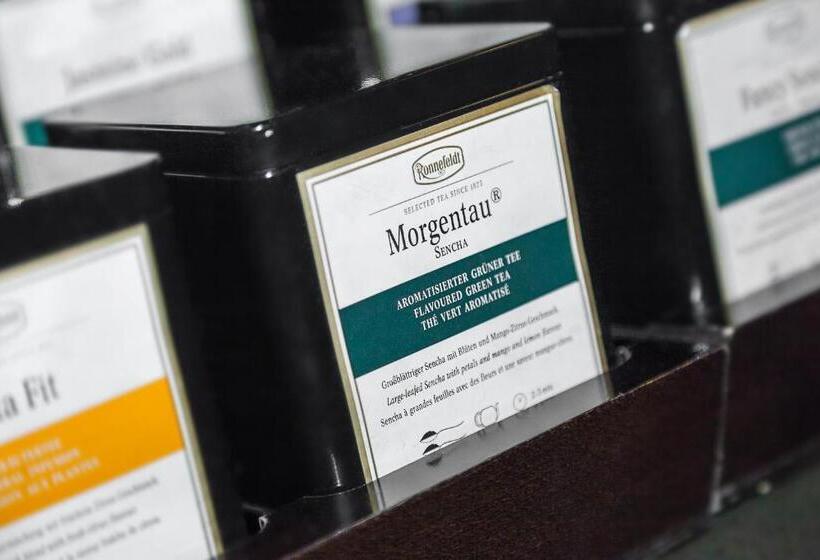 בית מלון כפרי Aviv Dresden