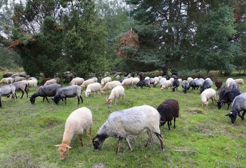 Best Western Hotel Heidehof