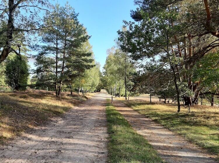 Best Western Hotel Heidehof