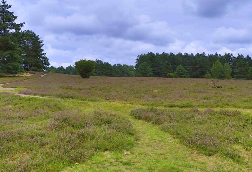 Best Western Hotel Heidehof