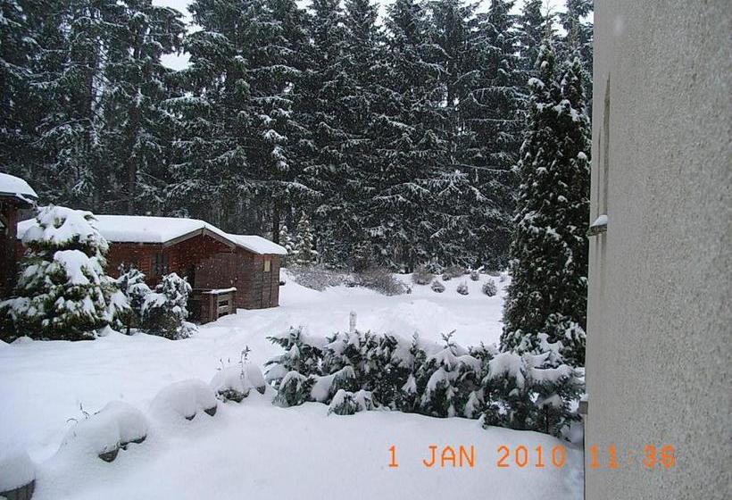 فندق Blechleppel   Die Pension Im Harz