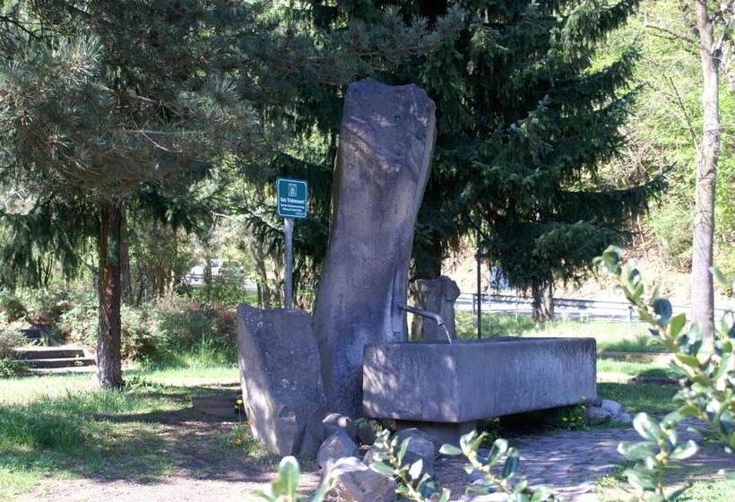 בית מלון כפרי Burgklause