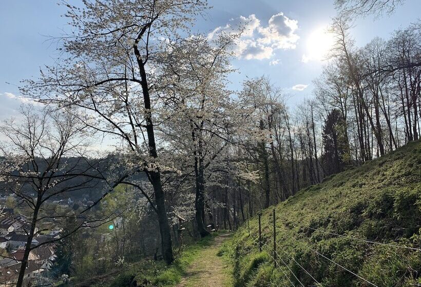 Отель & Restaurant Burgschänke