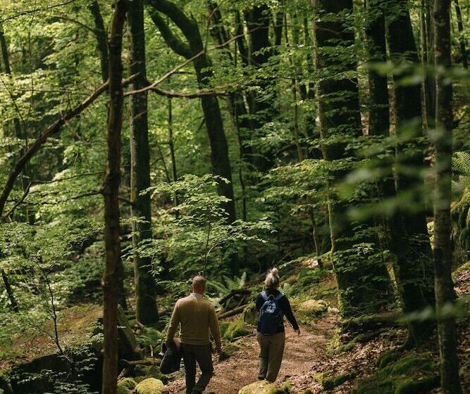 Отель Der Hirschen