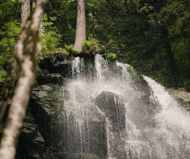 Отель Der Hirschen