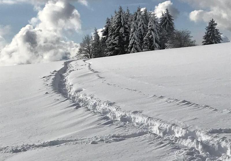 Отель Der Hirschen