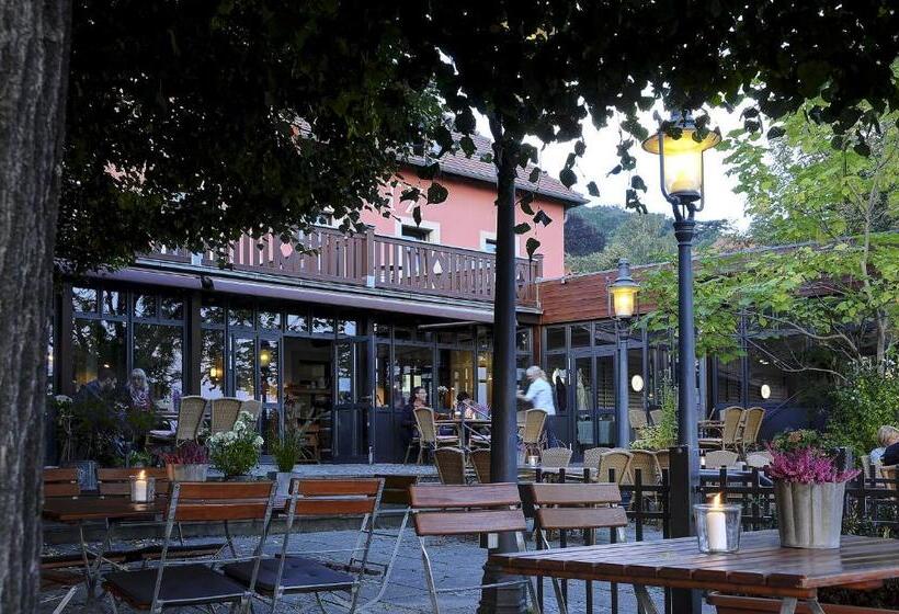 Hotel Elbterrasse Wachwitz