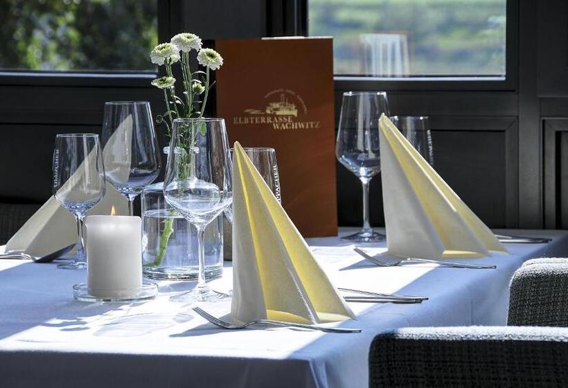 Hotel Elbterrasse Wachwitz