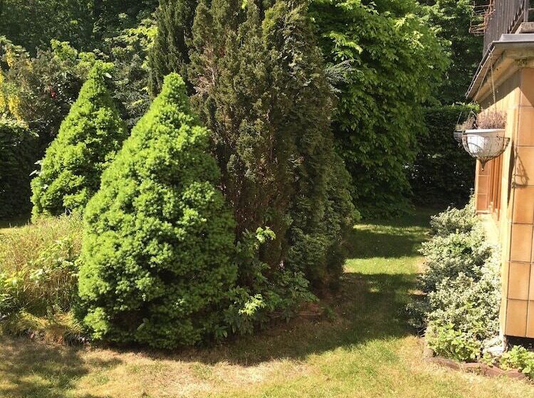 호텔 Elisabetha Garni