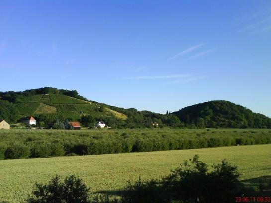 مبيت وإفطار Försters Stammlokal Pension