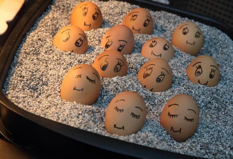 فندق Forsthaus Grüna Betreiber Gmbh