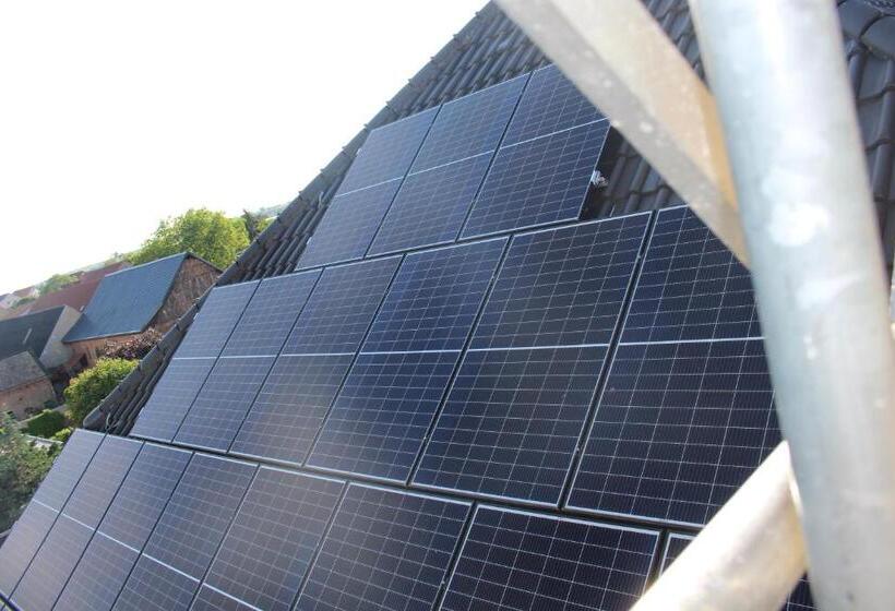 فندق Grüner Baum