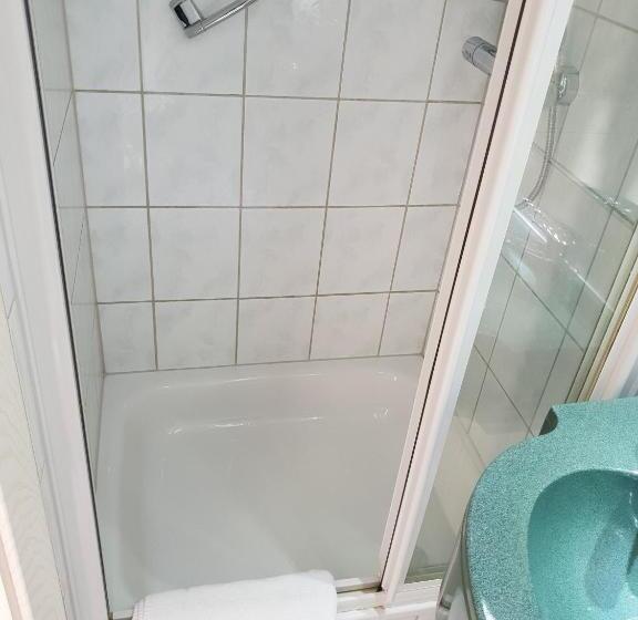 فندق Grüner Baum