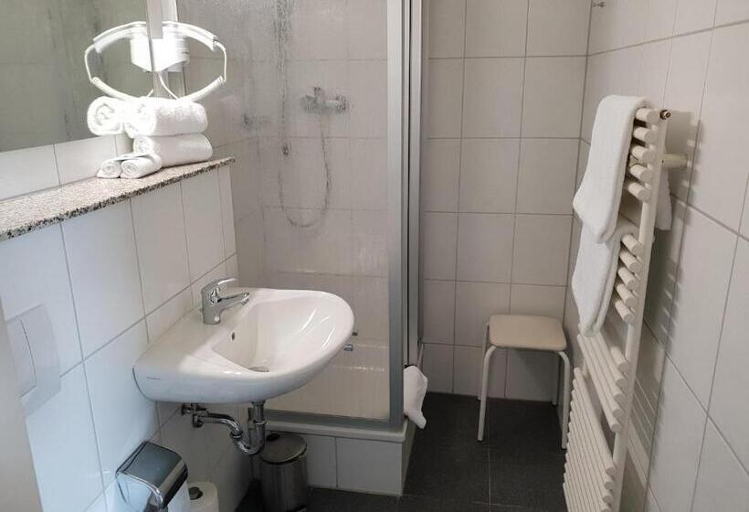 فندق Grüner Baum