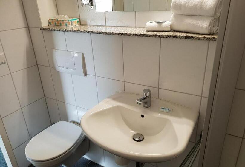 فندق Grüner Baum