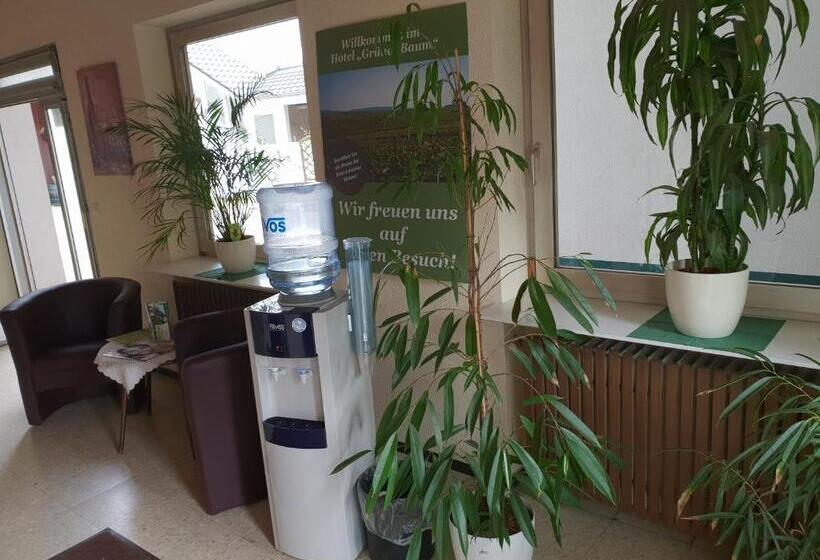 فندق Grüner Baum