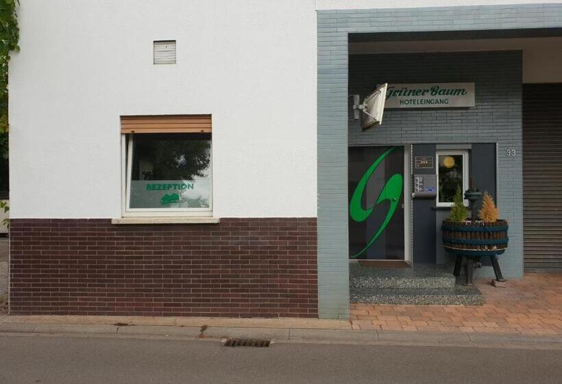فندق Grüner Baum