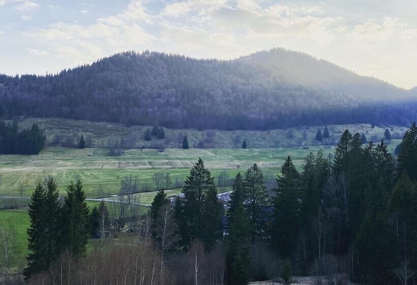 Отель Hirschen Menzenschwand