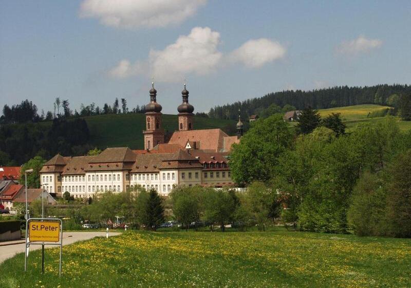 Отель Hirschen