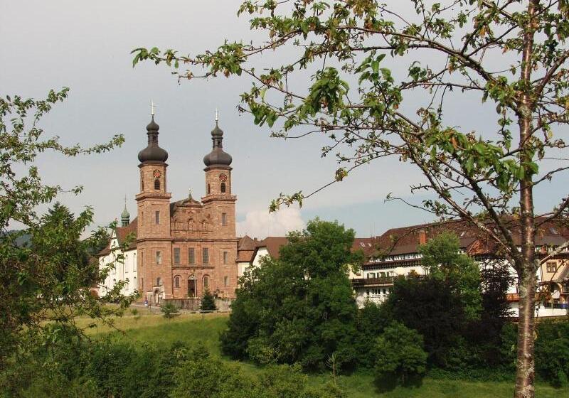 Отель Hirschen