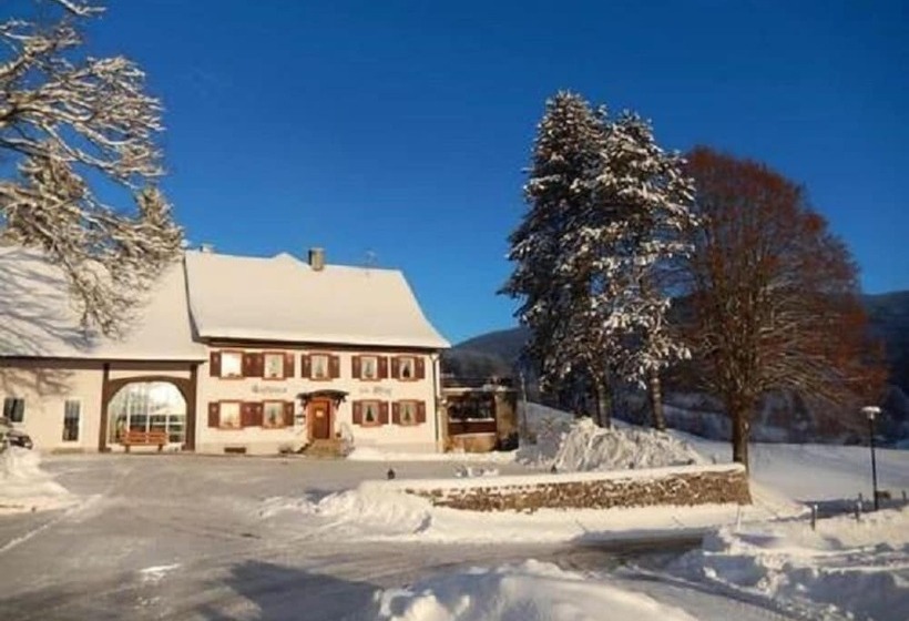 Отель Landgasthof Zum Pflug