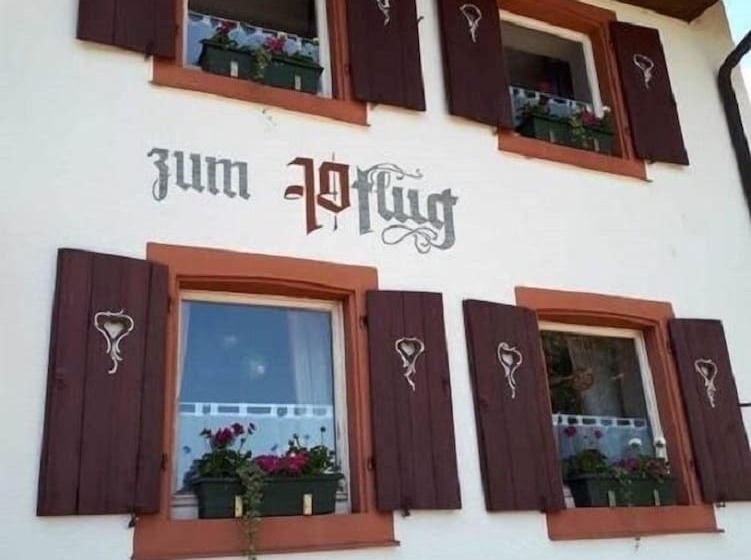 Отель Landgasthof Zum Pflug