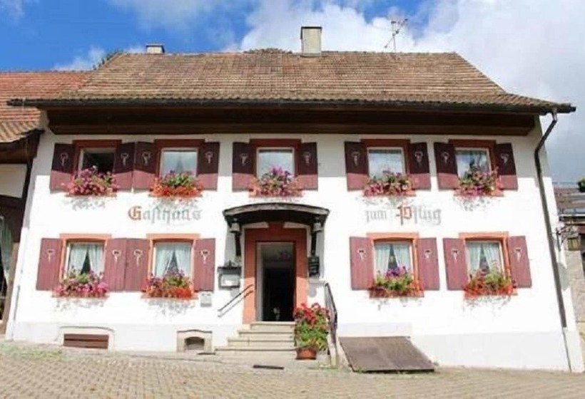 Отель Landgasthof Zum Pflug