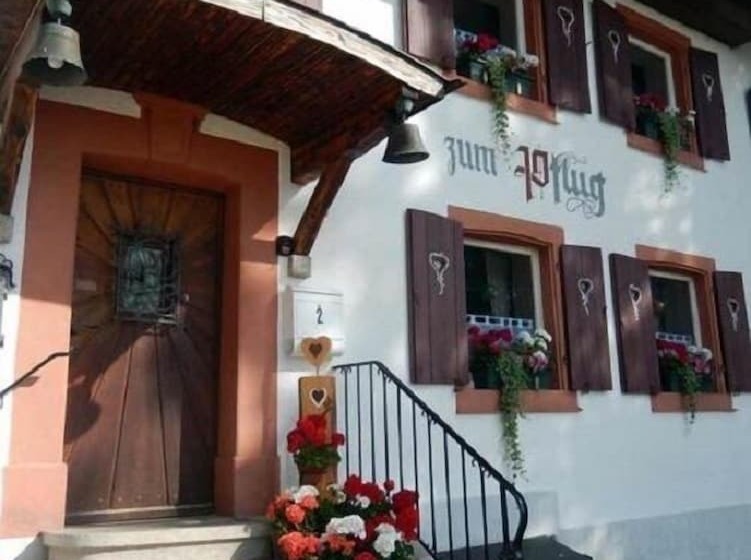 Отель Landgasthof Zum Pflug