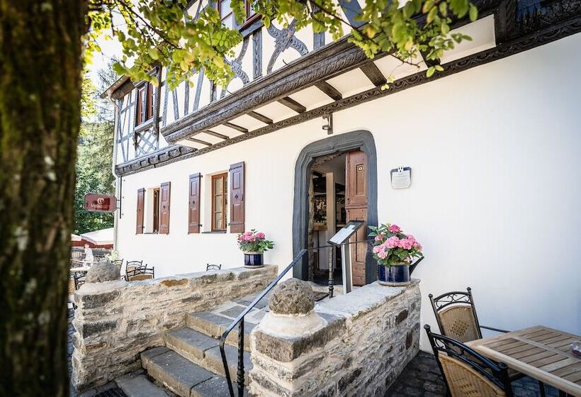 ホテル Landgasthof Zur Burg Grenzau