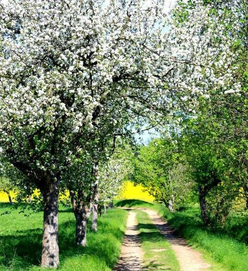 ホテル Landhaus Heidehof
